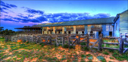 Kinchega Woolshed - NSW T 0U3A3478